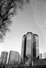 2021-03-24-0061 (2) * 2185 x 3233 * (1.5MB)